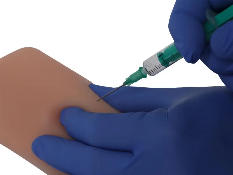 Übungsmodell intradermale, subkutane und intramuskuläre Injektion Übungsmodell intradermale, subkutane und intramuskuläre Injektion