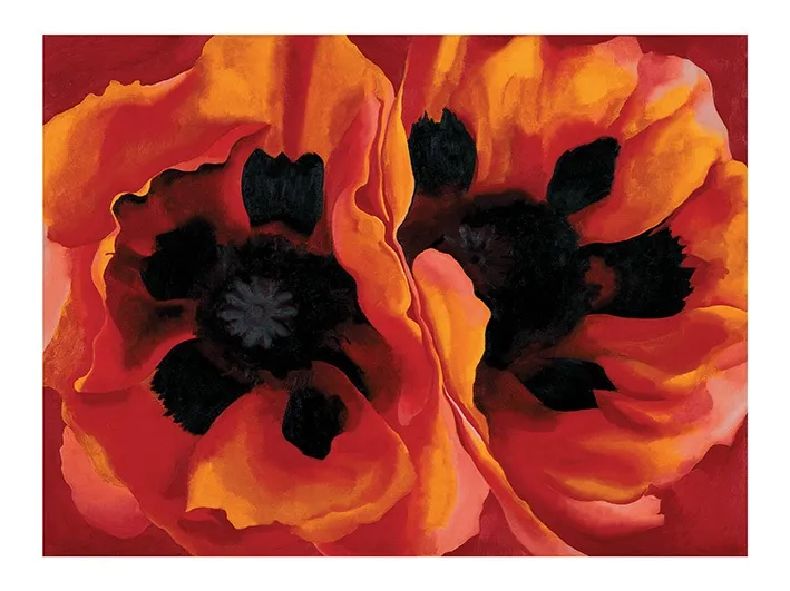 O’Keeffe, Oriental Poppies O’Keeffe, Oriental Poppies
